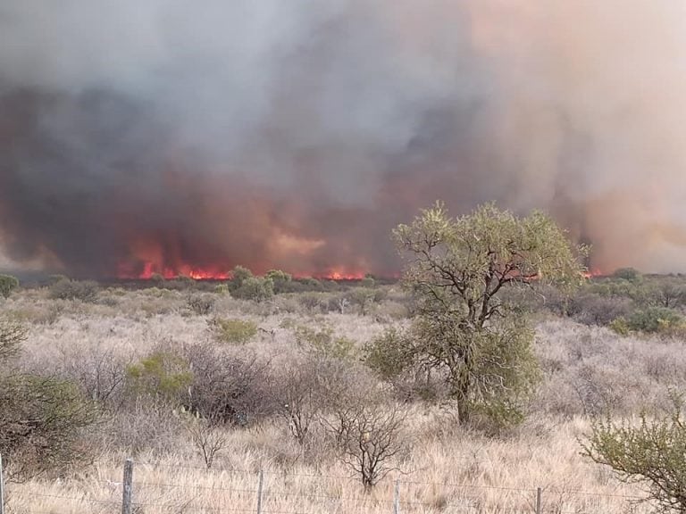 Incendios Forestales en San Luis