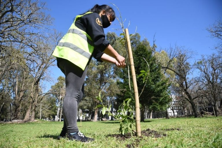 El aumento será en etapas para lo que resta del año y en su totalidad alcanzará un 36,8% (Municipalidad de La Plata)