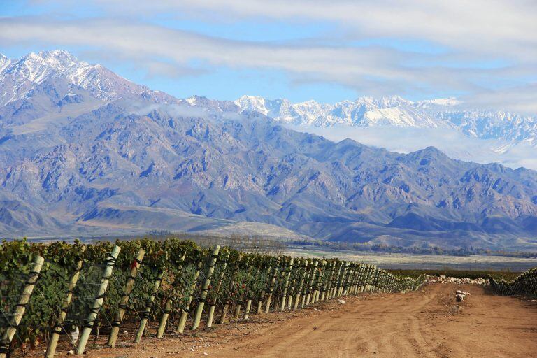 Finca Piedra Infinita de Zuccardi en Valle de Uco\u002E