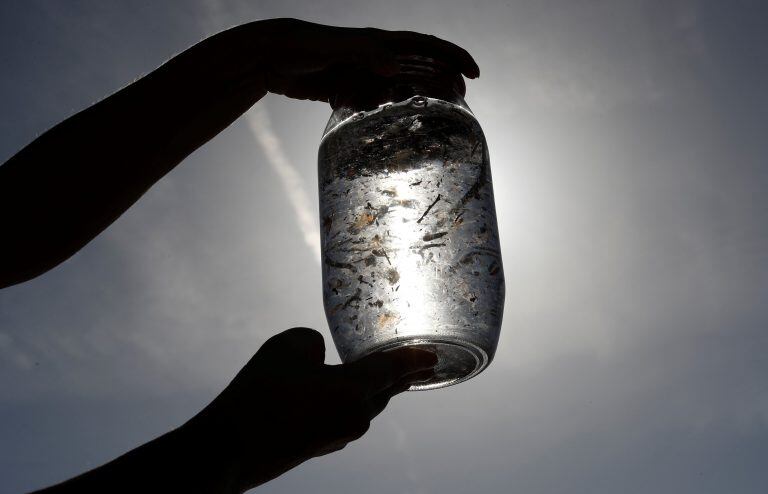 Microplásticos hallados en océanos.