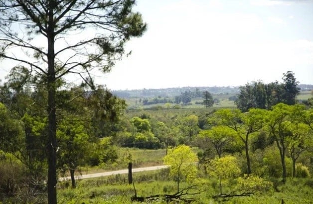 Parte del Valle del Cuña Pirú. (MisionesOnline)