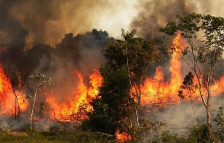 Incendio en Río Negro (web).