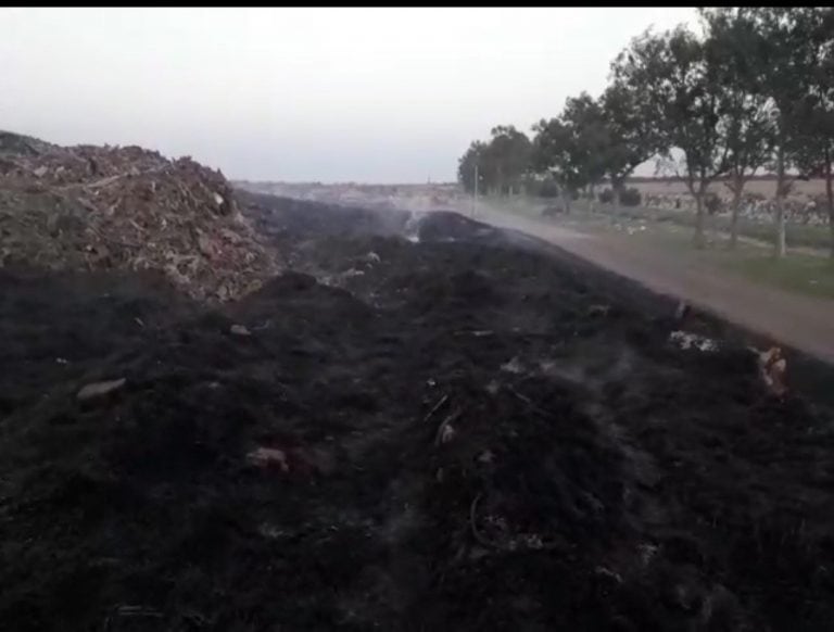 Incendio intencional en el Complejo Ambiental