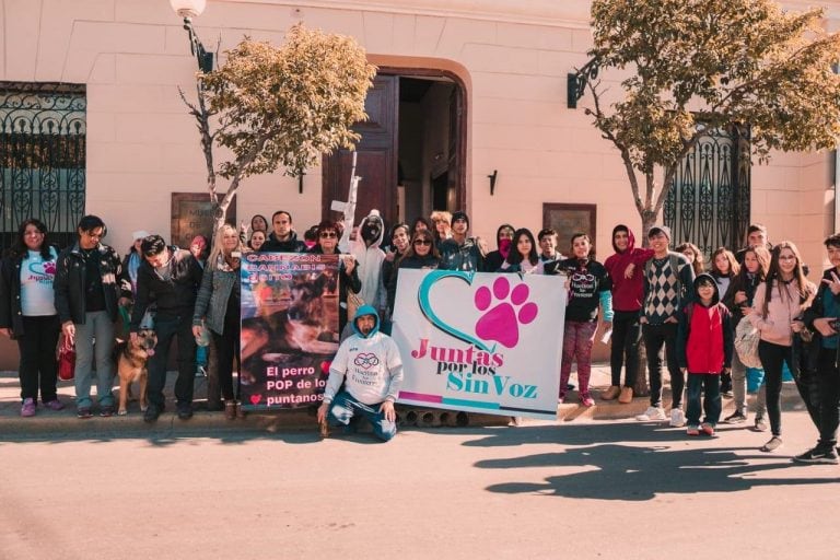 "Cabezón Osito Cannabis" el perro mas adorado por todos los puntanos.