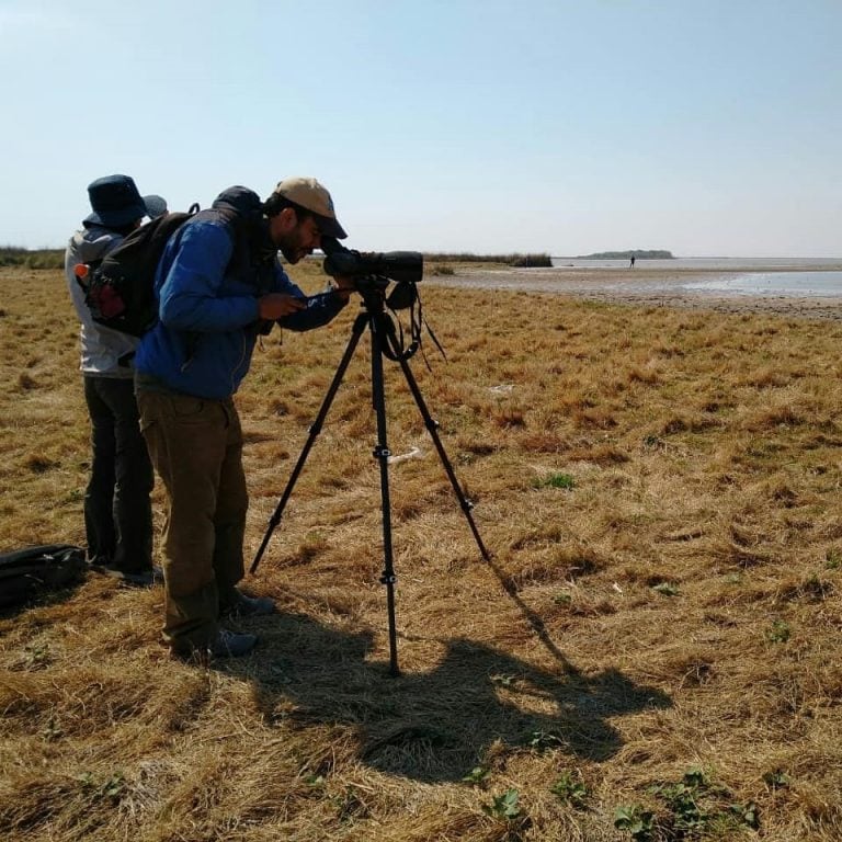 Observadores de aves de Argentina y el mundo llegan habitualmente a la región, para admirar la riqueza natural del futuro Parque Nacional Ansenuza