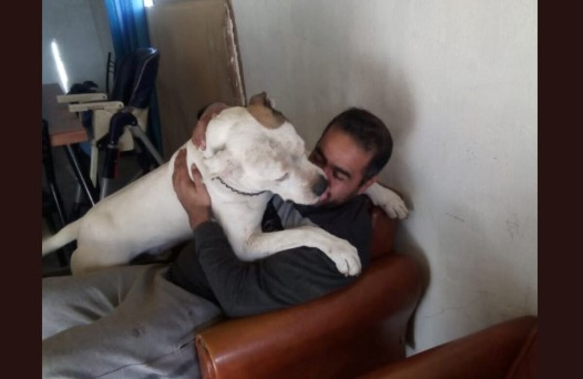"Lo criamos desde los 45 días y nunca había mordido a nadie", aseguran los dueños del dogo