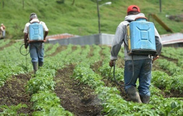 Agroquímicos en Entre Ríos (web).