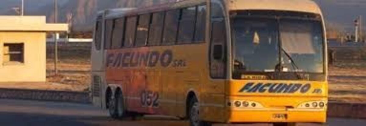 El gobierno sale a controlar a colectivos que tienen mas de 15 años de antigüedad