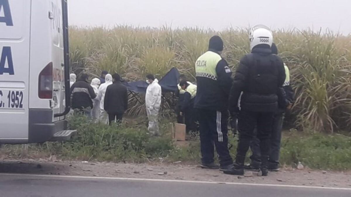 Hallaron el cuerpo de Priscila Paz en un cañaveral de San Pablo