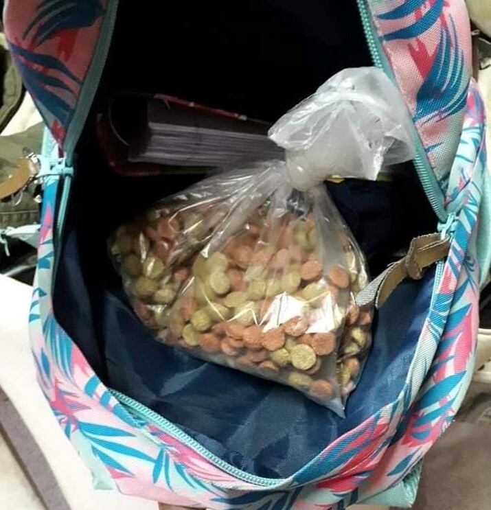 Compran alimento para darles de comer a los perros de la calle