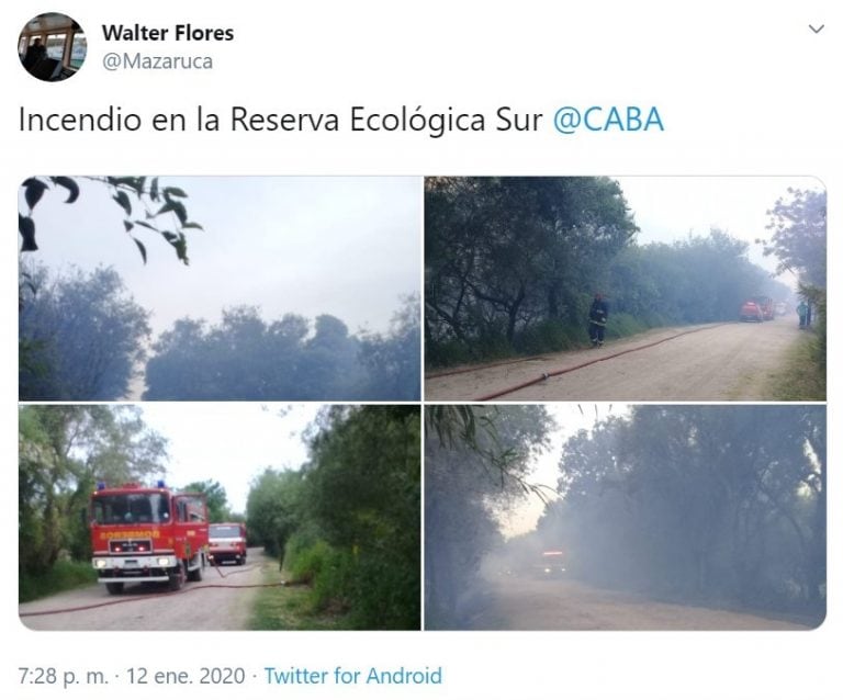 Un incendio afecta a la Reserva Ecológica de la Costanera Sur (Foto: Twitter)