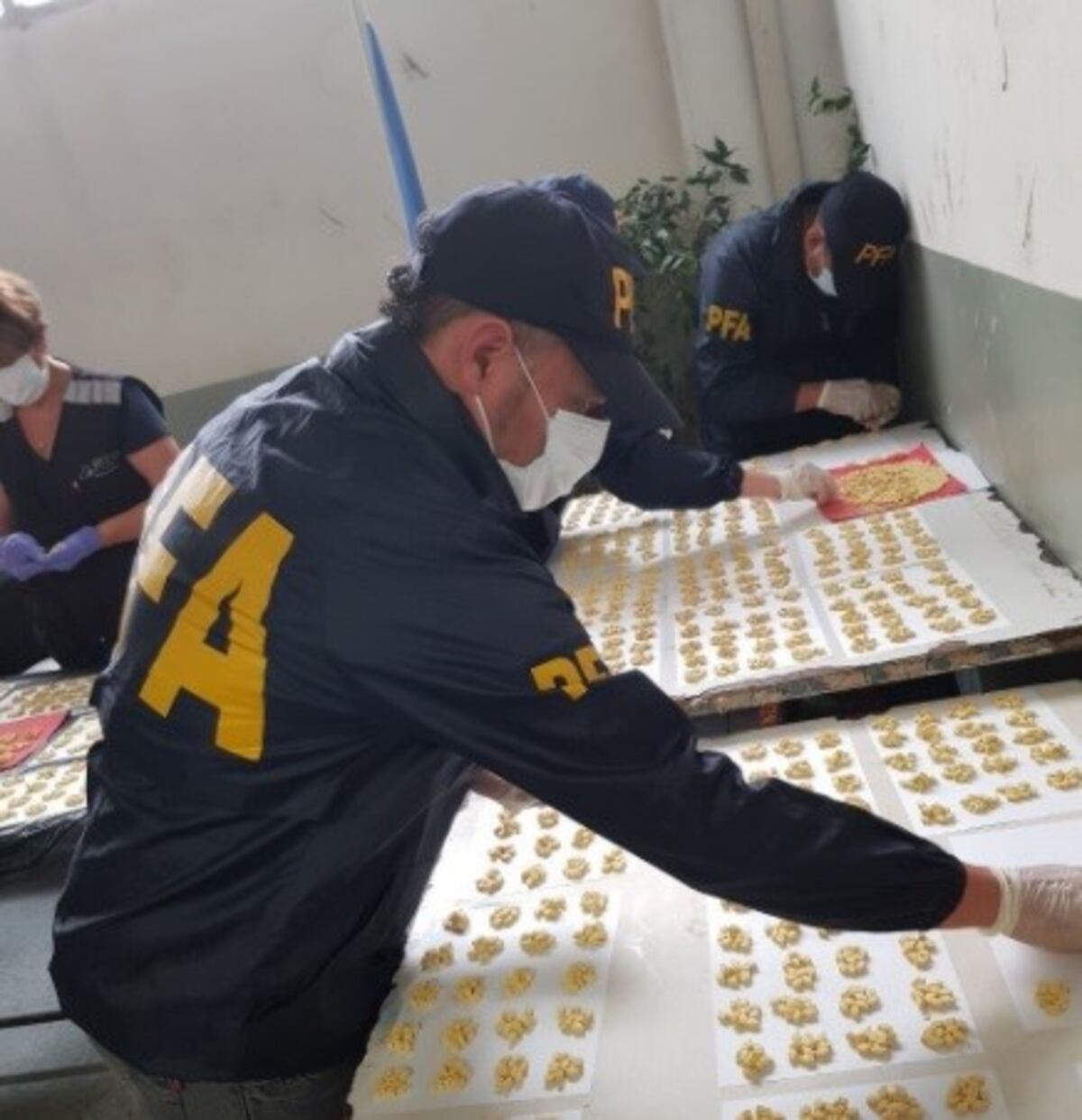 Detuvieron a un dealer de droga en una fiesta electrónica en el salón Metropolitano
