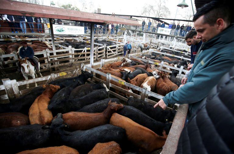 Mercado de Liniers - REUTERS - Agustin Marcarian Photo