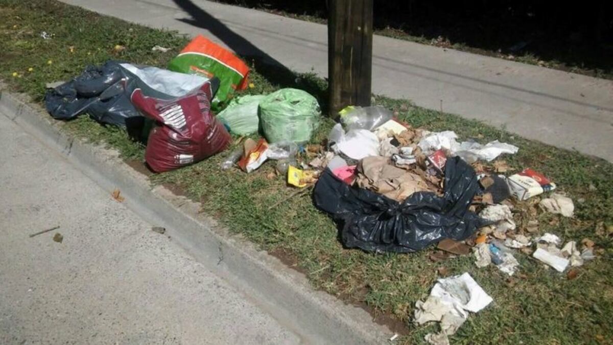 "¿No pasa el recolector por sus domicilios?": la indignación de una vecina porque le tiran la basura en la puerta