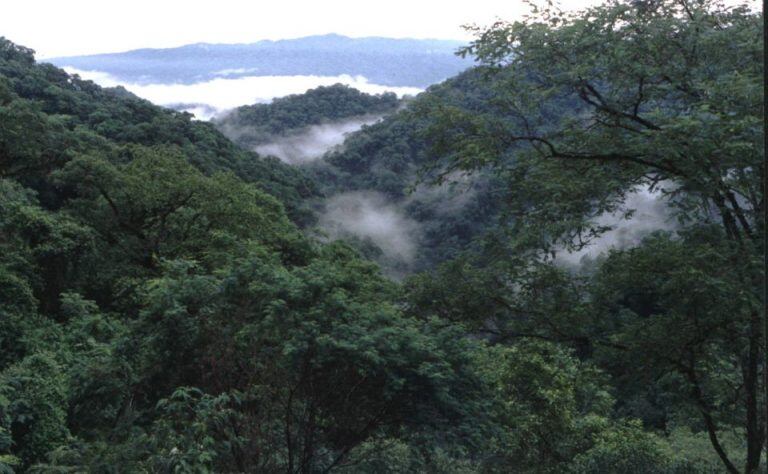 Parque Nacional Calilegua