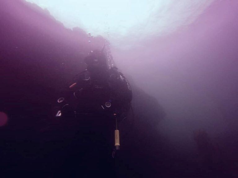 Muestra fotográfica El Mar Nuestro Mundo