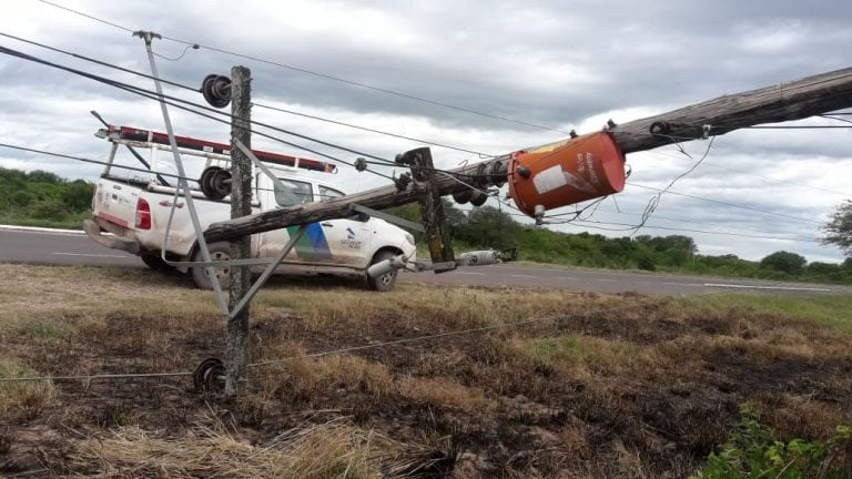 Árboles y postes de energía fueron derribados como consecuencia de los fuertes vientos. (Prensa Gobierno del Chaco)