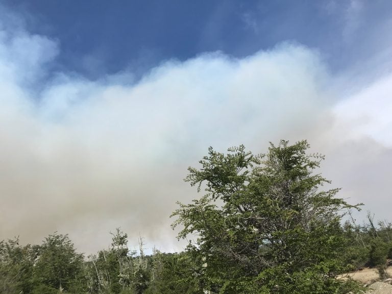 Columna de humo en la empresa Lenga Patagonia S.A. Tolhuin, Tierra del Fuego