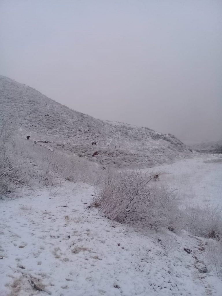 Salta amanece con aguanieve y cerros blancos (Facebook Telefé Salta)