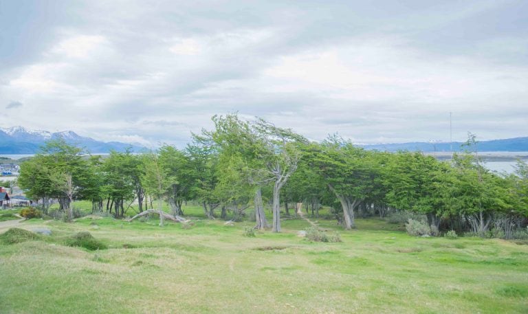 Área de valor historico - Monte Gallinero - Ushuaia