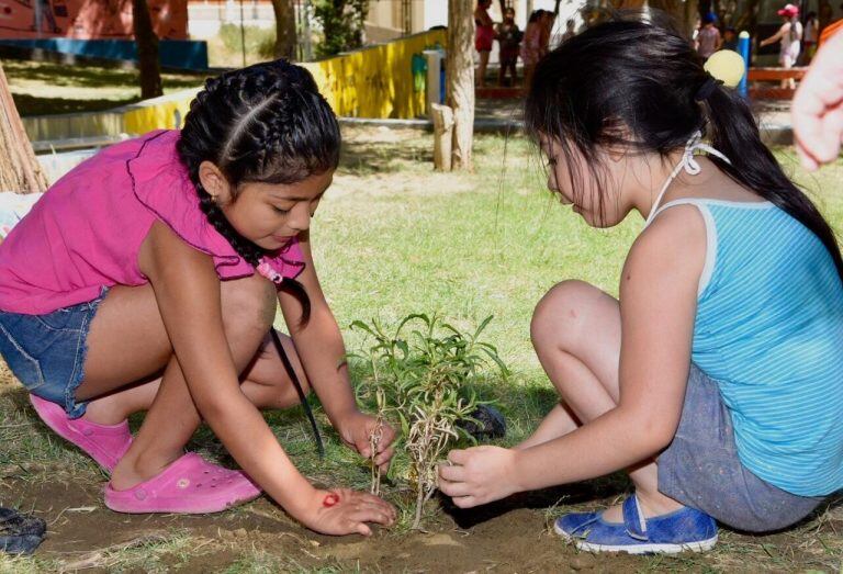 Plantas y flores en la plaza.