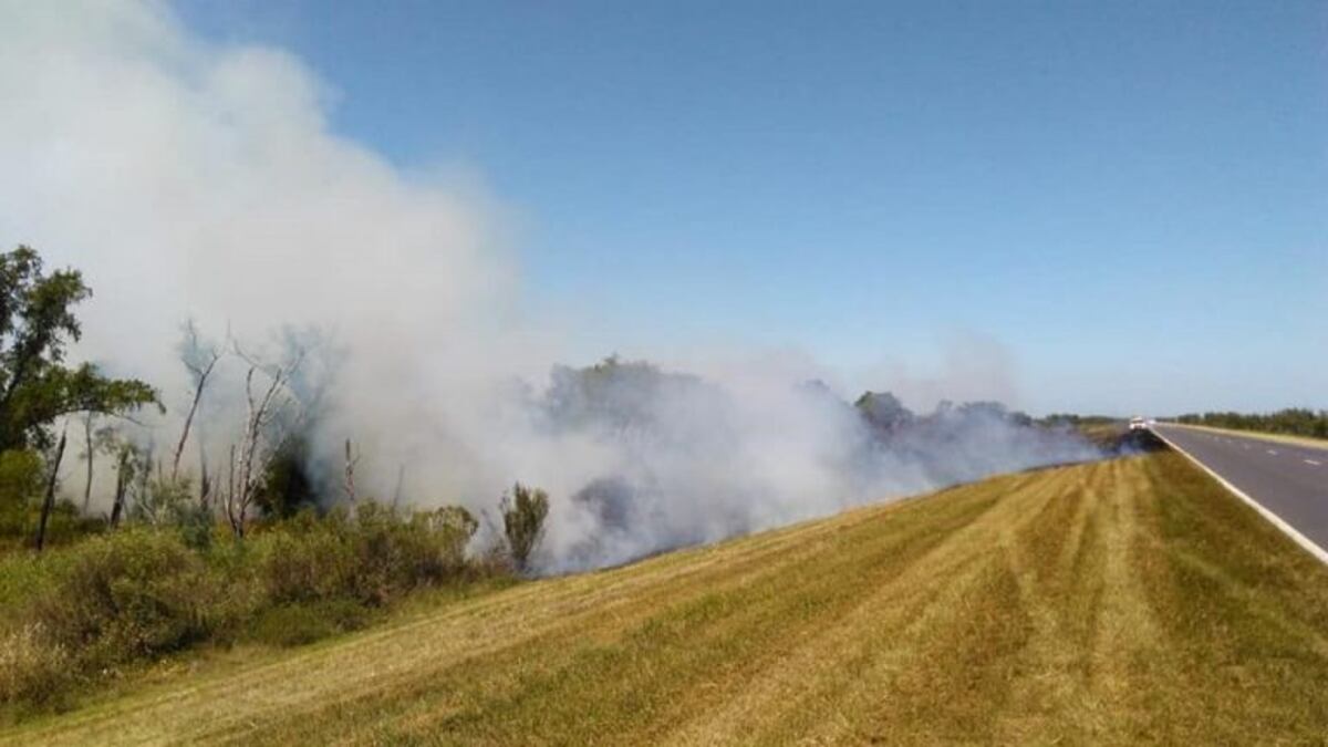 El fuego volvió a la zona de islas y el humo se detectó otra vez en Rosario
