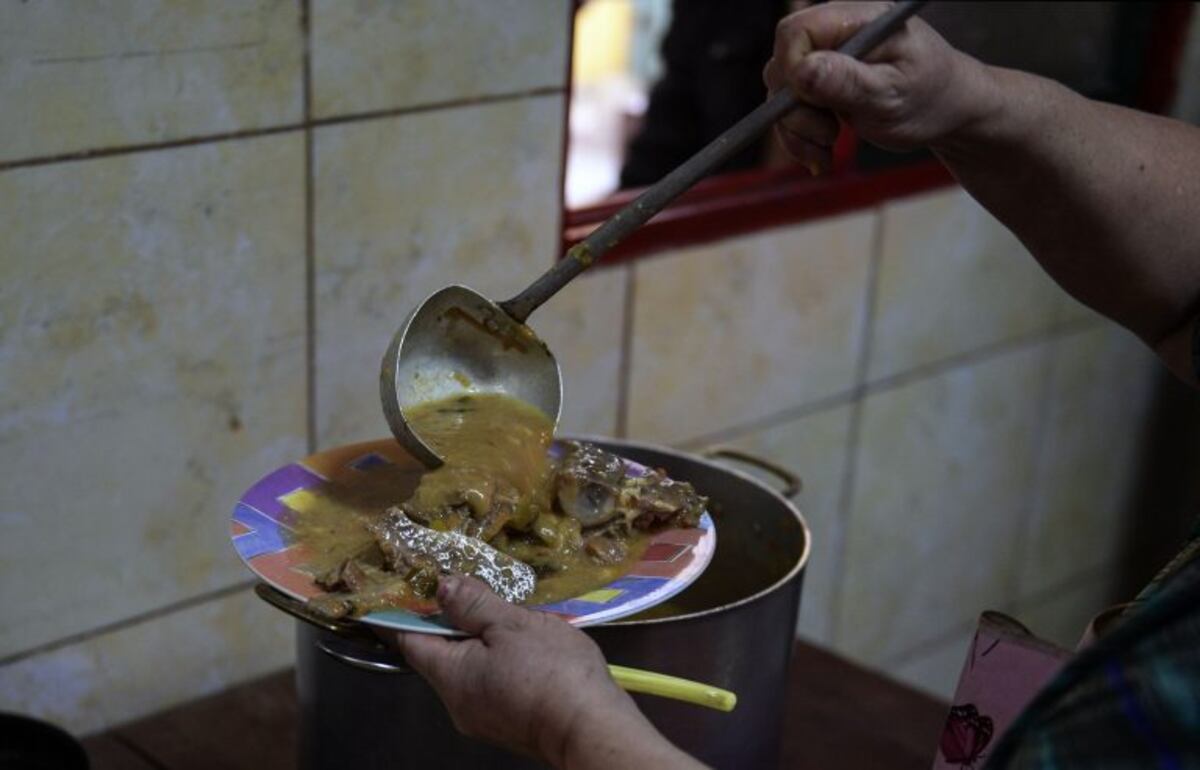 Universidad de Córdoba repartió más de 280 mil raciones de comida en tres meses de campaña solidaria