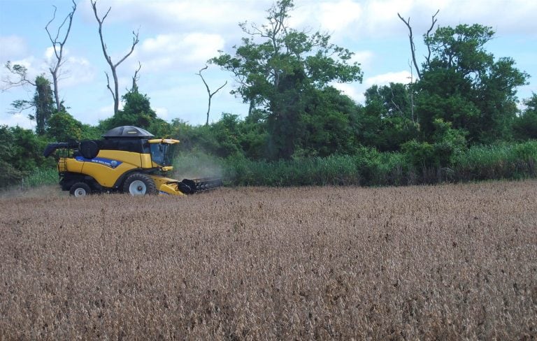 BOL10 SANTA CRUZ (BOLIVIA). 24/05/2018.- Fotografía cedida por la Asociación de Productores de Oleaginosas y Trigo (Anapo) que muestra una máquina para cosechar soya
en Santa Cruz (Bolivia). La cosecha de soya de verano en Bolivia fue menor a la producción proyectada, a causa de factores meteorológicos, por lo que el sector percibirá unos 90 millones de dólares menos, informó hoy, 24 de mayo de 2018, la Anapo de Bolivia. EFE/ Anapo / SOLO USO EDITORIAL / NO VENTAS bolivia  bolivia cosecha de soja