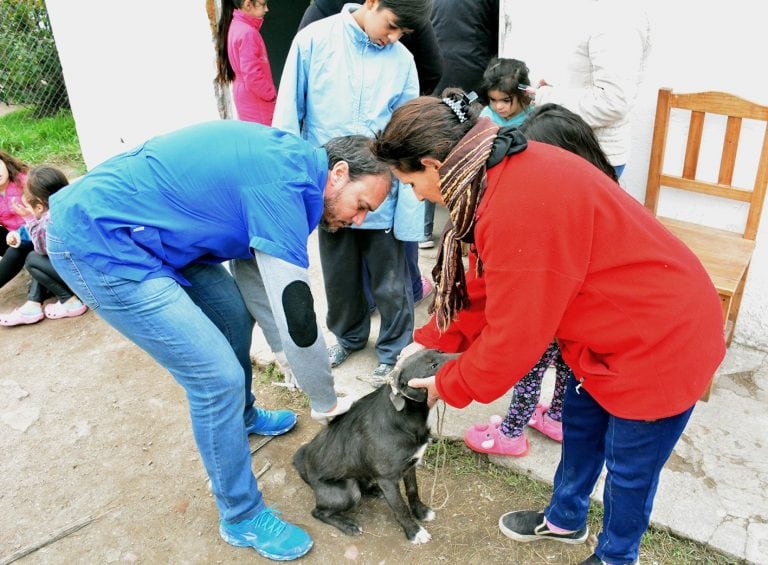 El objetivo alcanzar las 5 mil dosis aplicadas.