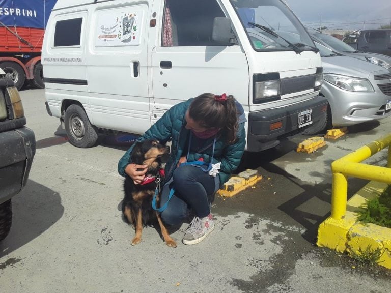 María Constanza Aziniany brindará su clase N°13 de educación canina en Tolhuin