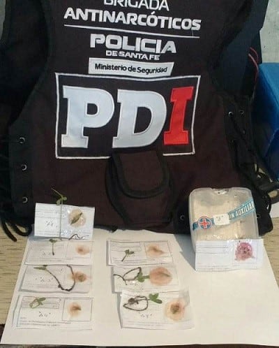 Cuatro detenidos en allanamientos por drogas. (Paralelo28)