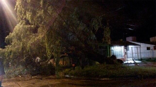 Tormentas en Paraná.