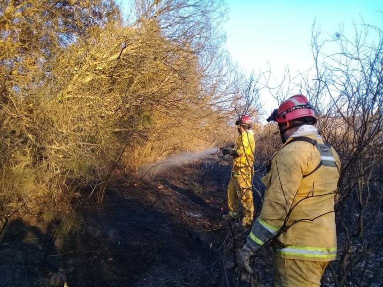 Unos cinco cuarteles de Bomberos Voluntarios trabajaron en el lugar. (Foto: Bomberos Voluntarios La Cumbre).