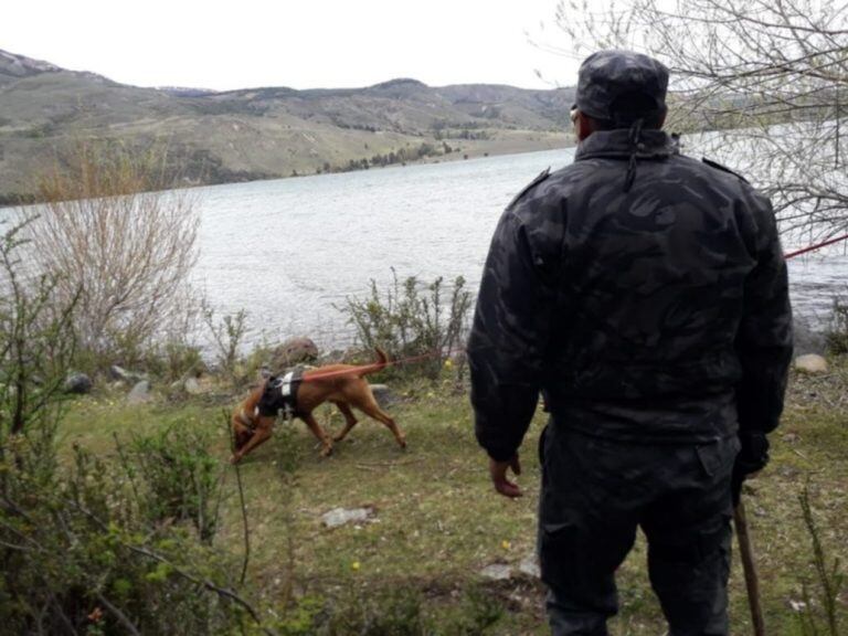 Busqueda del desaparecido con canes