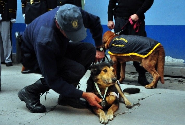 El perro falleció a los 16 años (web).