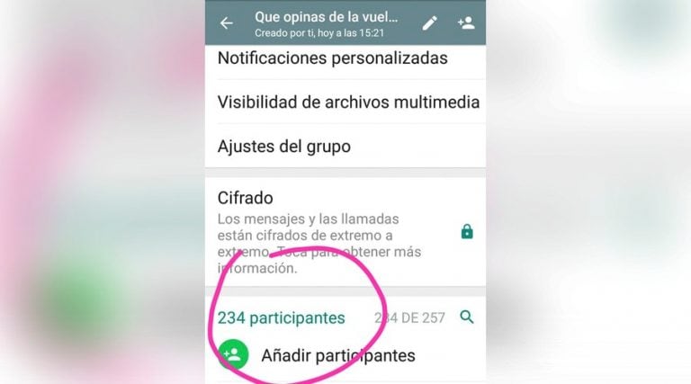 Muchos docentes manifestaron su disconformidad a través de grupos de Whatsapp (Captura de pantalla)