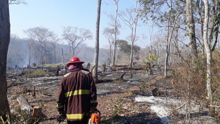 "La Chiquitania es un cementerio de árboles carbonizados", dijo con razón Carlos Mamaní, titular del Cuerpo de Bomberos de Jujuy.