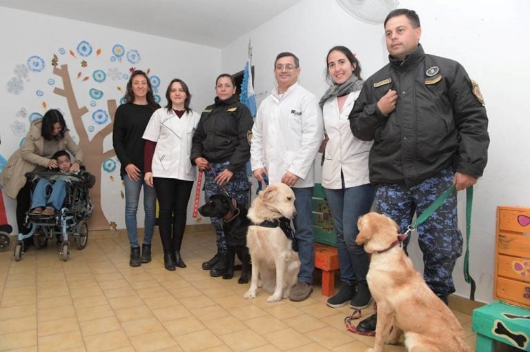 Lola y Zoe, las perritas de la División Canes de la Policía que ayudan en su terapia a chicos con discapacidad. (Prensa Gobierno)