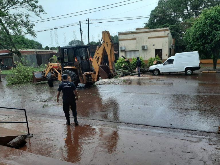 Por la tormenta un árbol cayó sobre un Fiat Fiorino en Apóstoles. No hubo heridos.