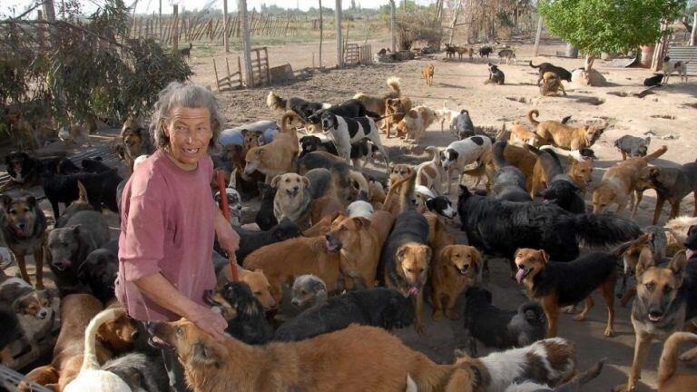 Carmencita cuando vivía con más de 80 perros