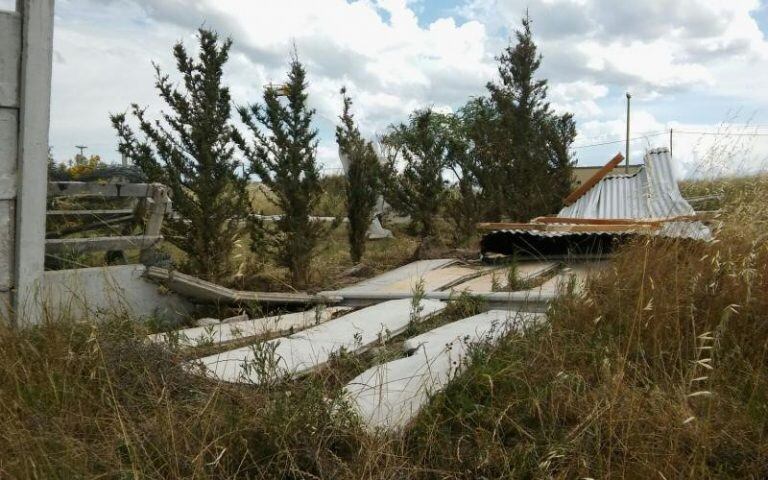 La tormenta dejó árboles, postes de energía, chapas y telefonía caídos en varios puntos de la ciudad