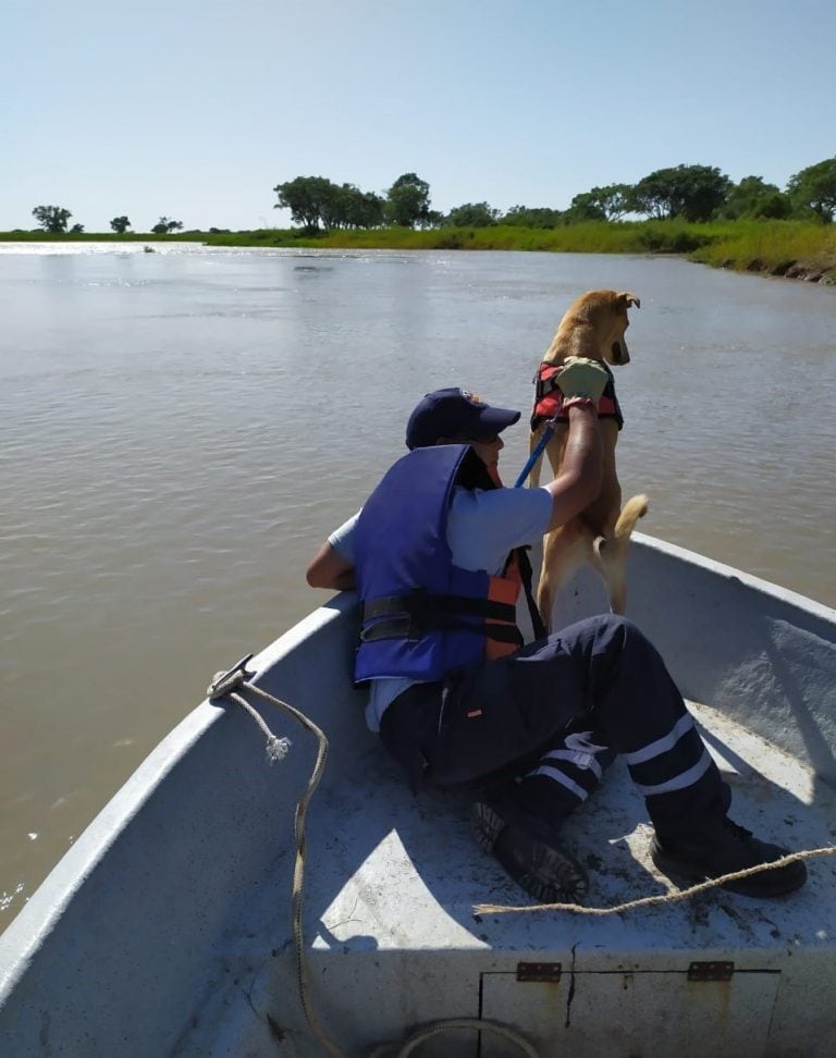 El cuerpo fue hallado en el arroyo Calchines. (Policía de Santa Fe)