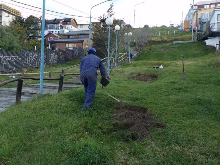 Yacimiento Arqueológico Ushuaia