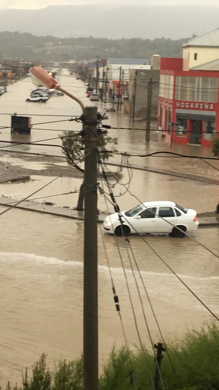 En los pluviales tapados encontraron basura, animales muertos y electrodomésticos.