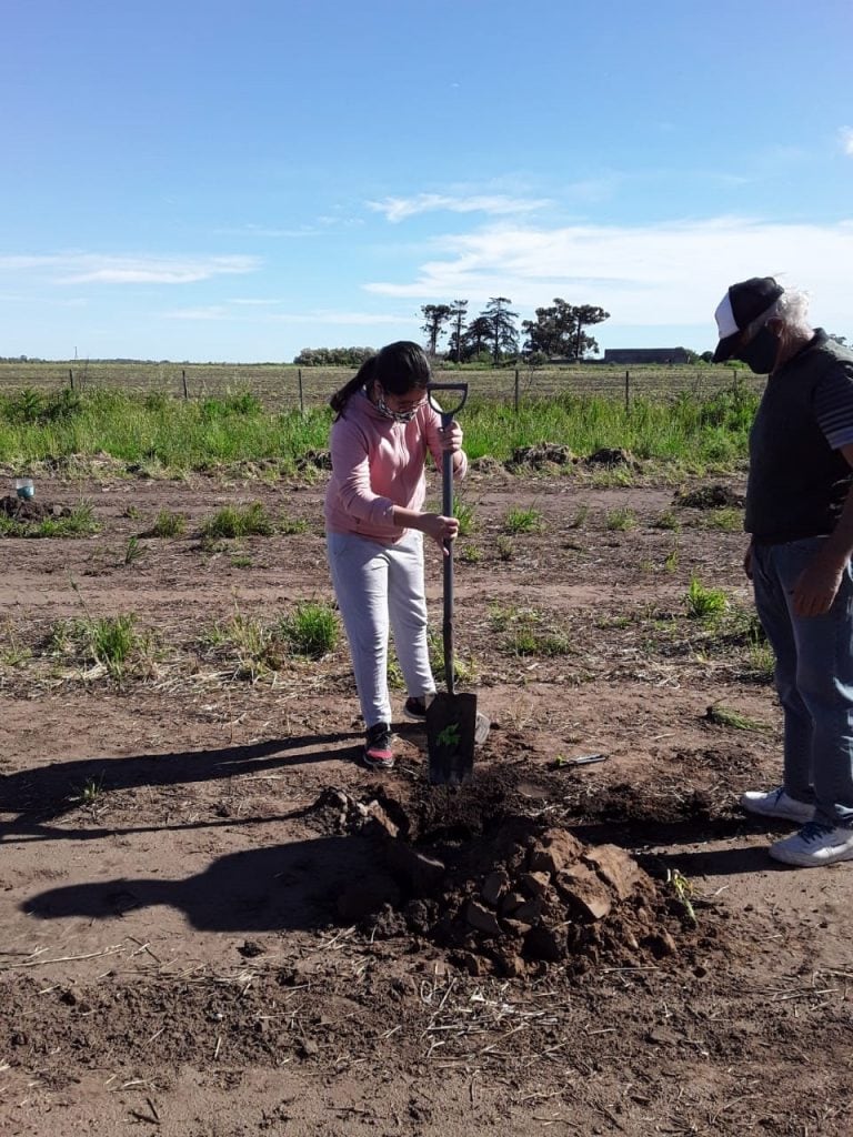 Plantación de Nogales, Grupo Huerta Agroecológica Orense