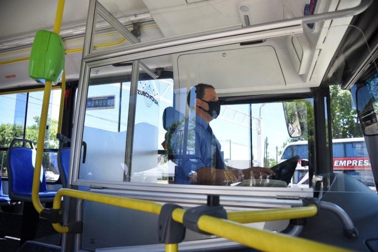 Garro presentó nuevos colectivos de última tecnología para la ciudad (Municipalidad de La Plata)