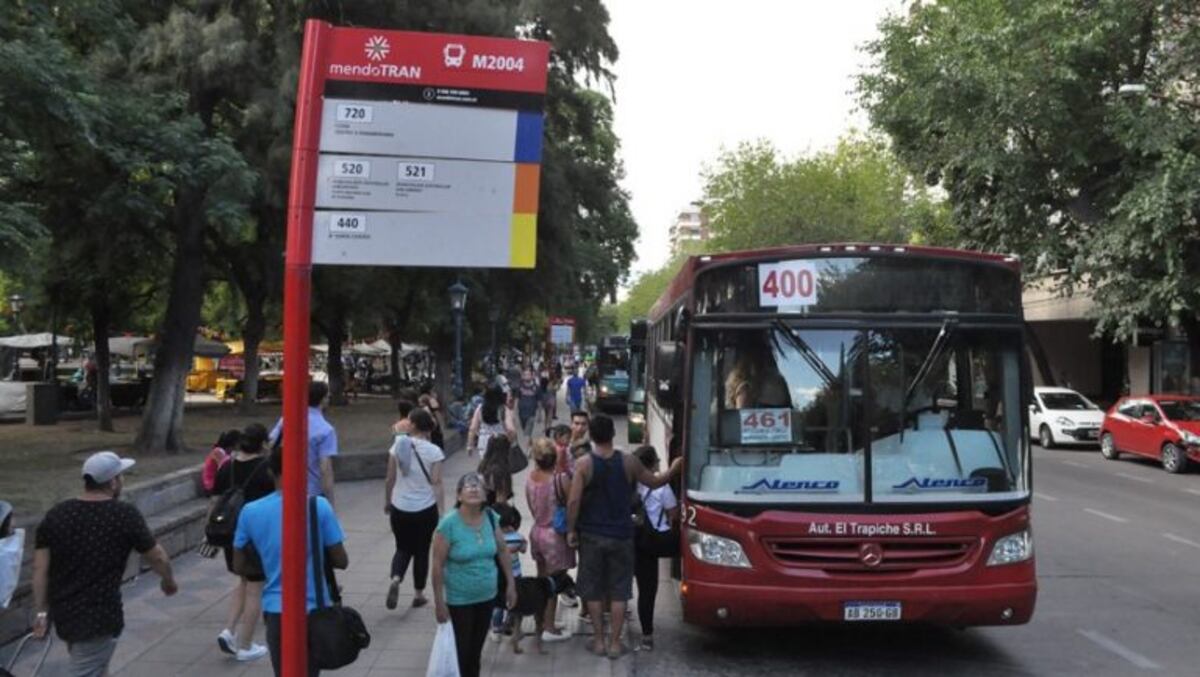 Denuncian a un chofer de colectivo por exhibicionismo