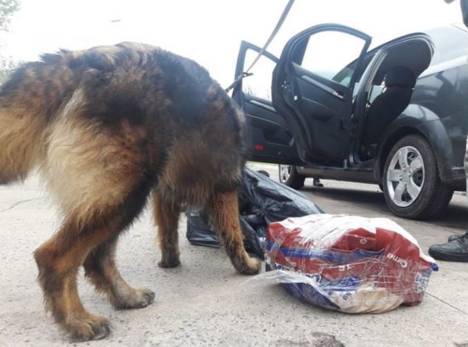 Atraparon a un gendarme en Chaco con más de 100 kilos de marihuana. (Foto: Primera Línea)