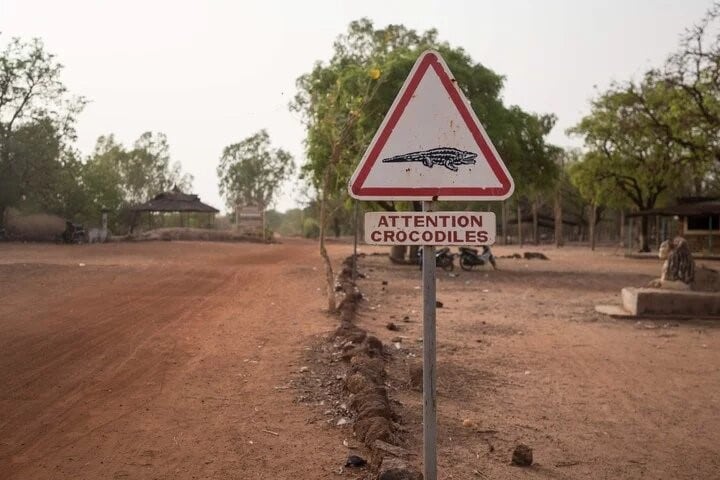 Advertencia de cocodrilos en la zona. (web)