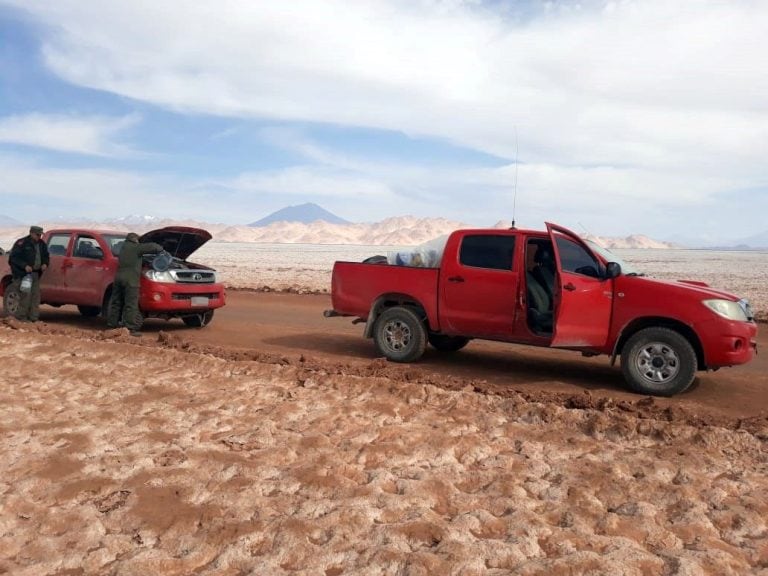 Marihuana secuestrada en Tolar Grande. (Gendarmería Nacional)